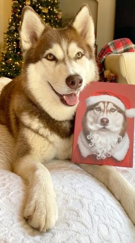 Customer photo review of Artzuzu Custom Portrait For Pets - The Santa