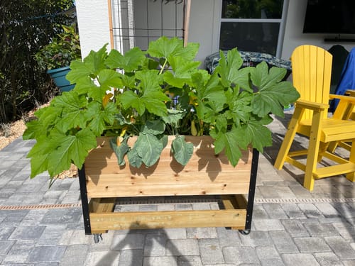 Customer photo review of 18" x 48" Raised Garden Bed - 30" TALL
