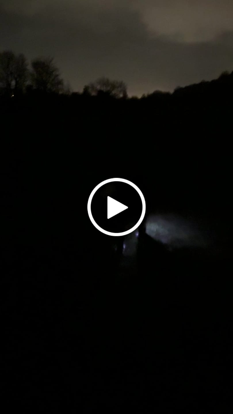 Customer video review of TrekBright® Dog Safety Light