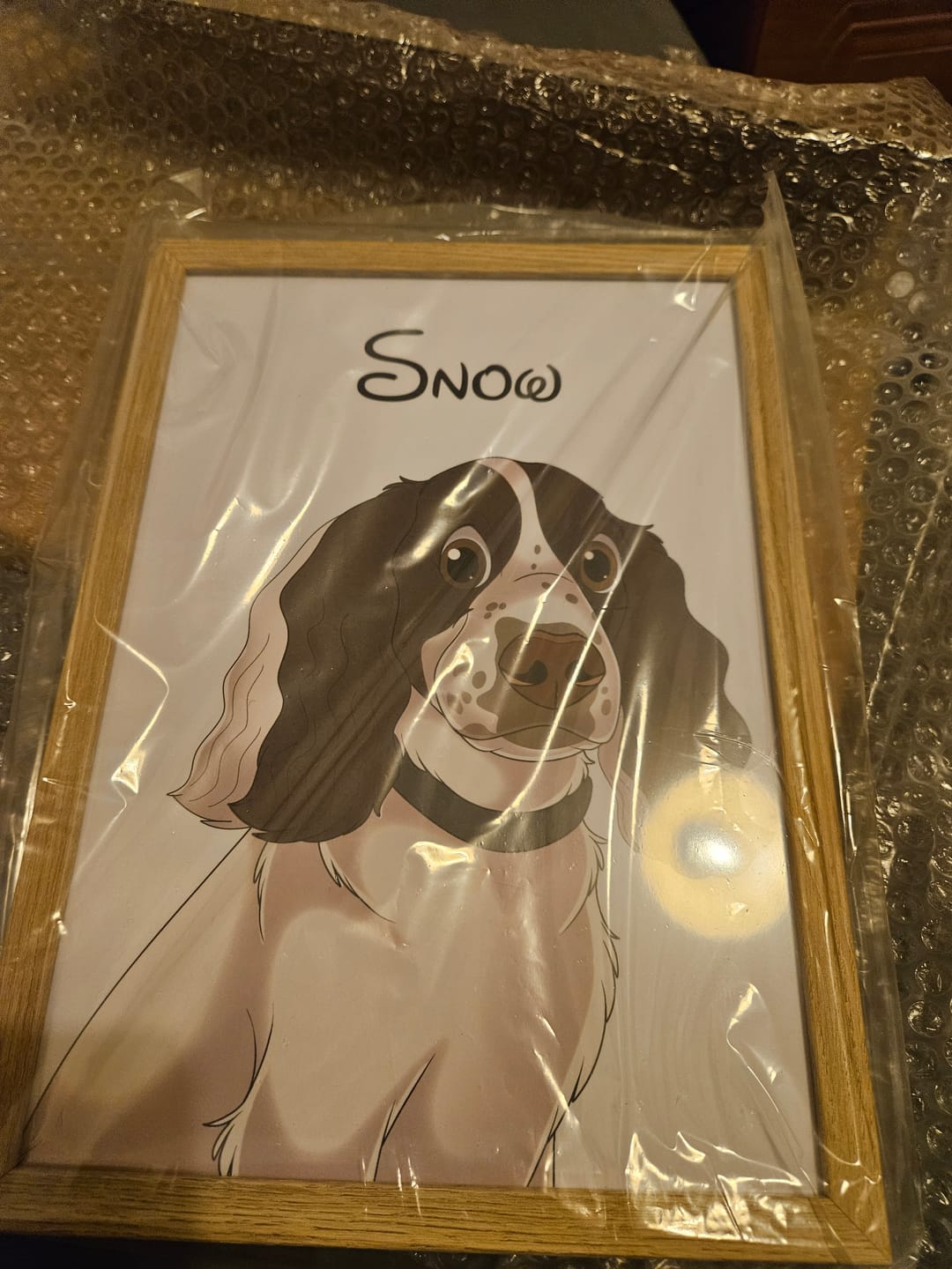 Customer photo review of Disneyfy Pet Cartoon Hand Drawn Portrait