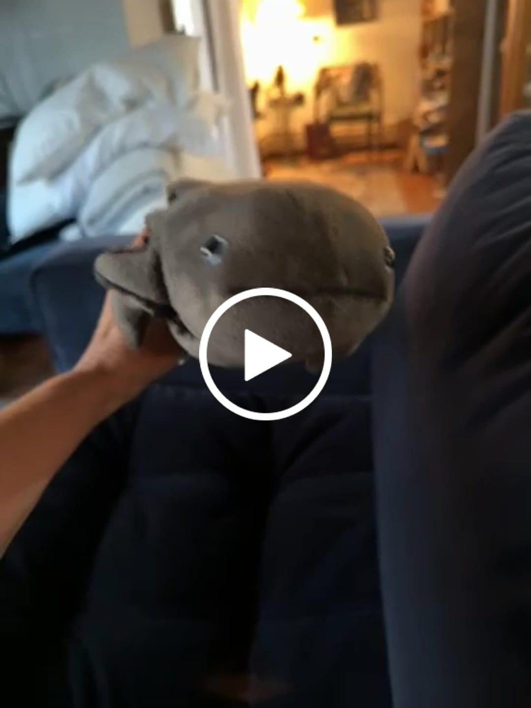 Customer video review of Black Axolotl Soft Stuffed Plush Toy