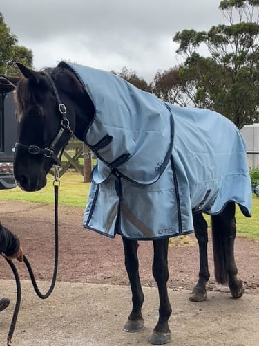 Customer photo review of LE Boxter Turnout 0g