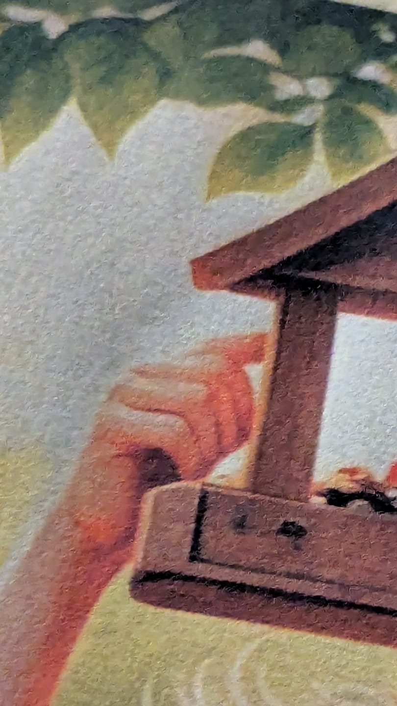 Customer photo review of A Kid’s Guide to 50 Backyard Birds