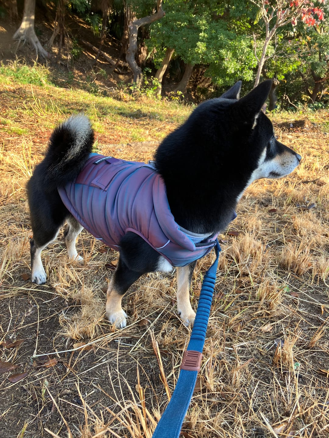 Customer photo review of WarmShield Water-Resistant Jacket - Cosmic