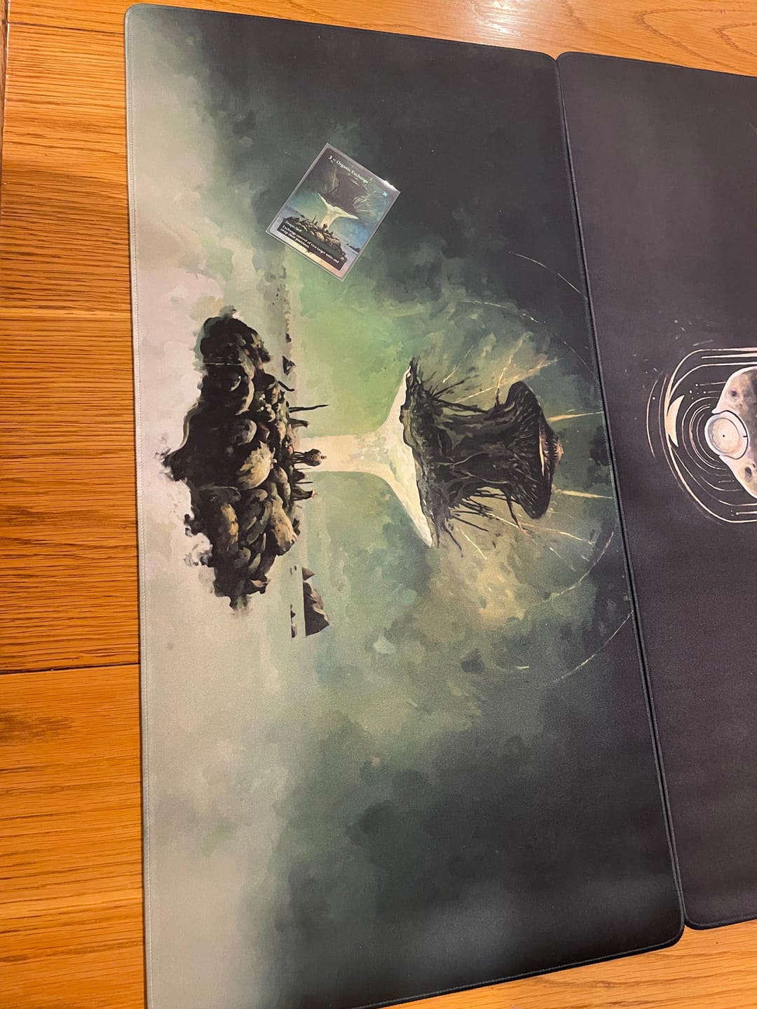 Customer photo review of Algomancy Oversized Playmats - 28"x14"