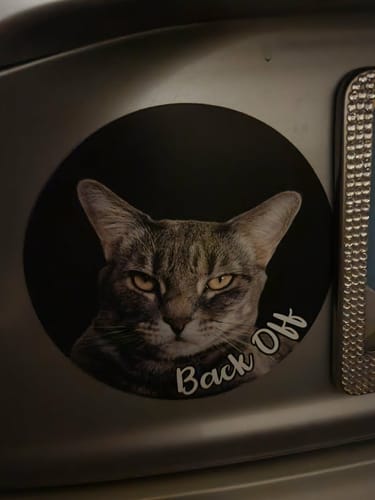 Customer photo review of Your photo - Personalized Car Magnet