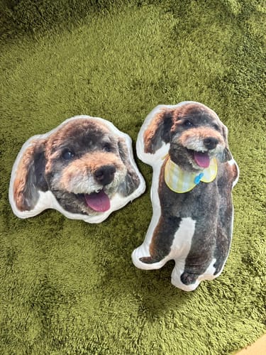 Customer photo review of 本物そっくり♪ペットクッション