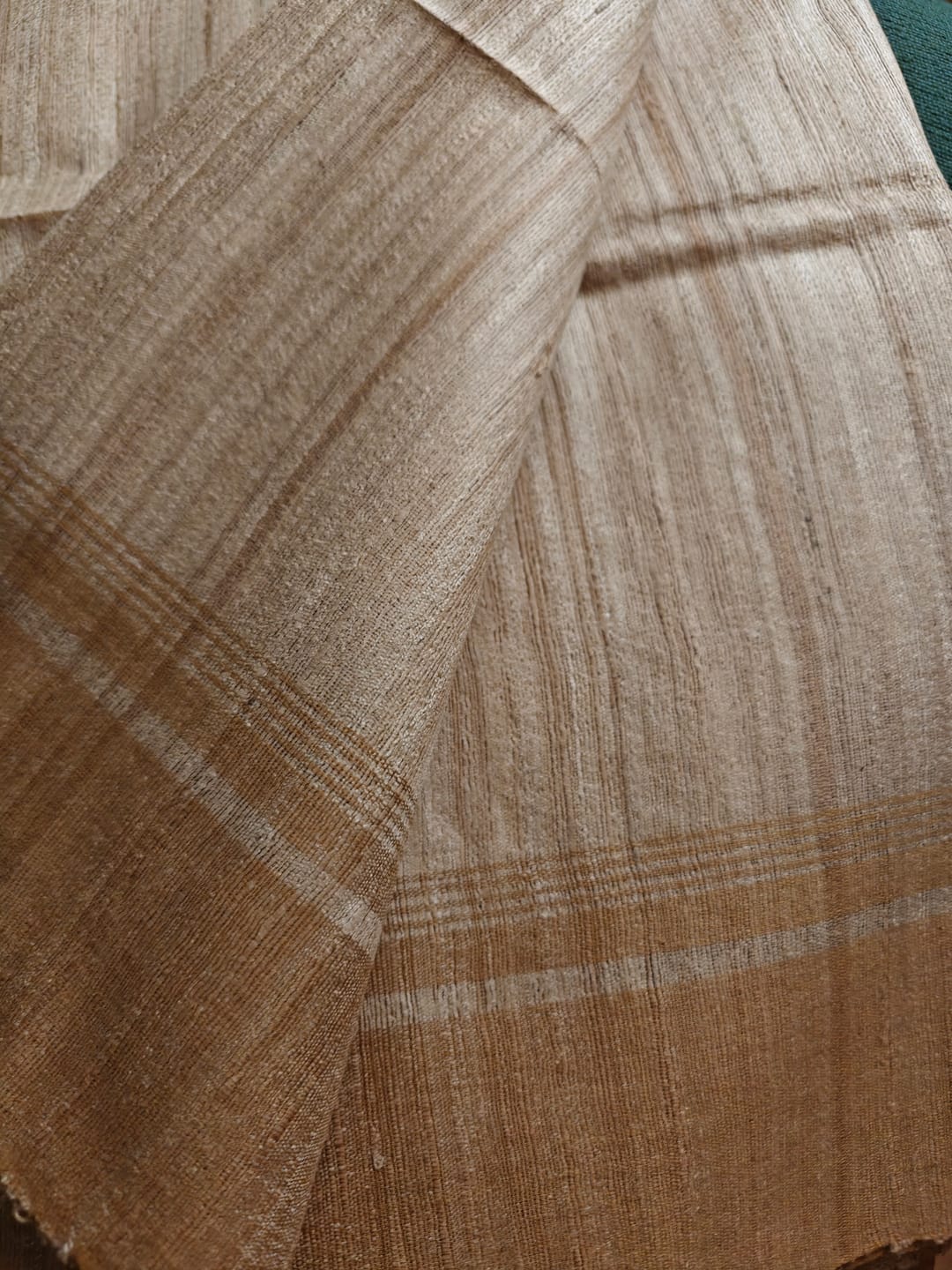 Customer photo review of Abhuti (Tussar Ghicha Silk Saree)