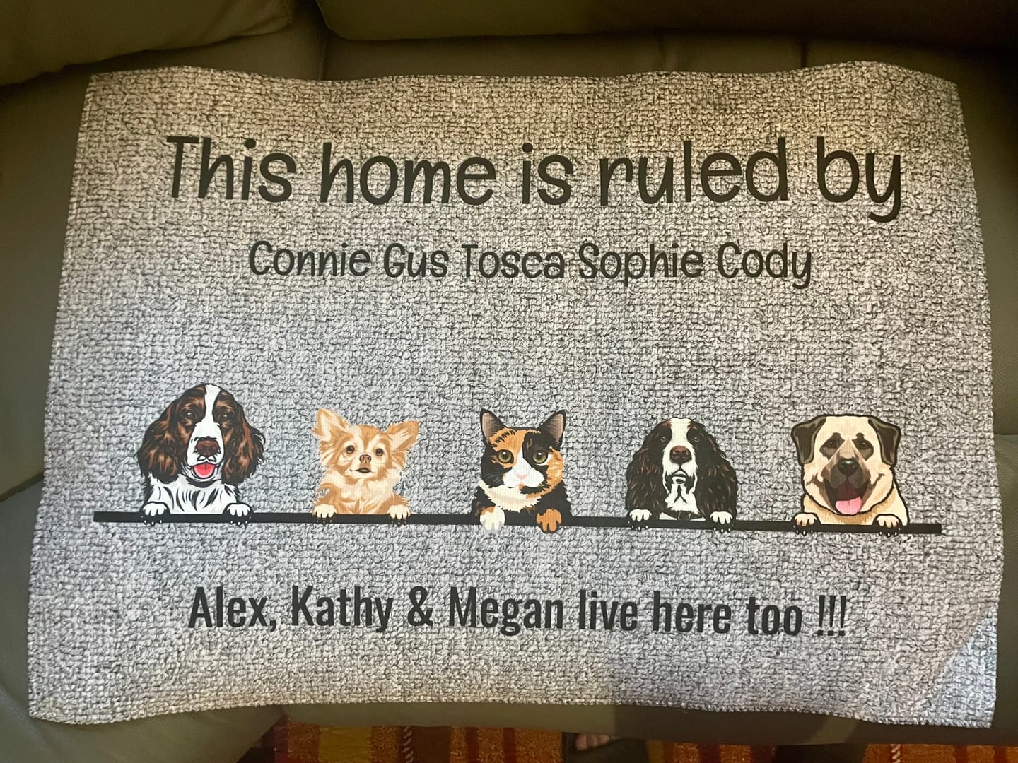 Customer photo review of All my furry friends - Personalised Doormat