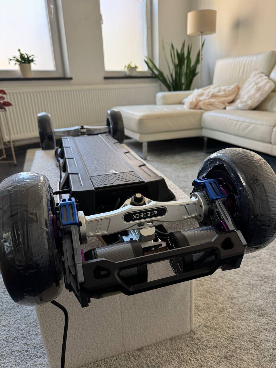 Customer photo review of Acedeck® Nomad N1 Electric Skateboard