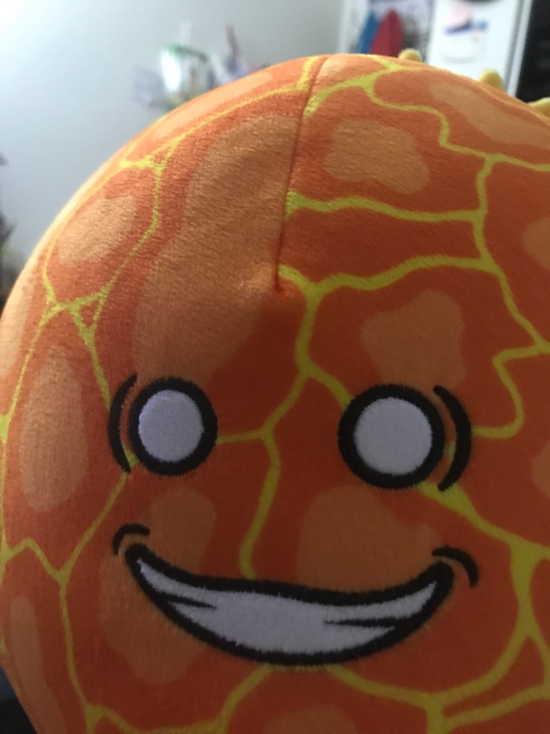 Customer photo review of The SolarBalls Sun Plush