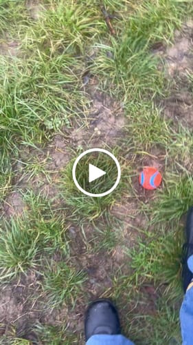 Customer video review of Spruce - Scarpe Barefoot Invernali