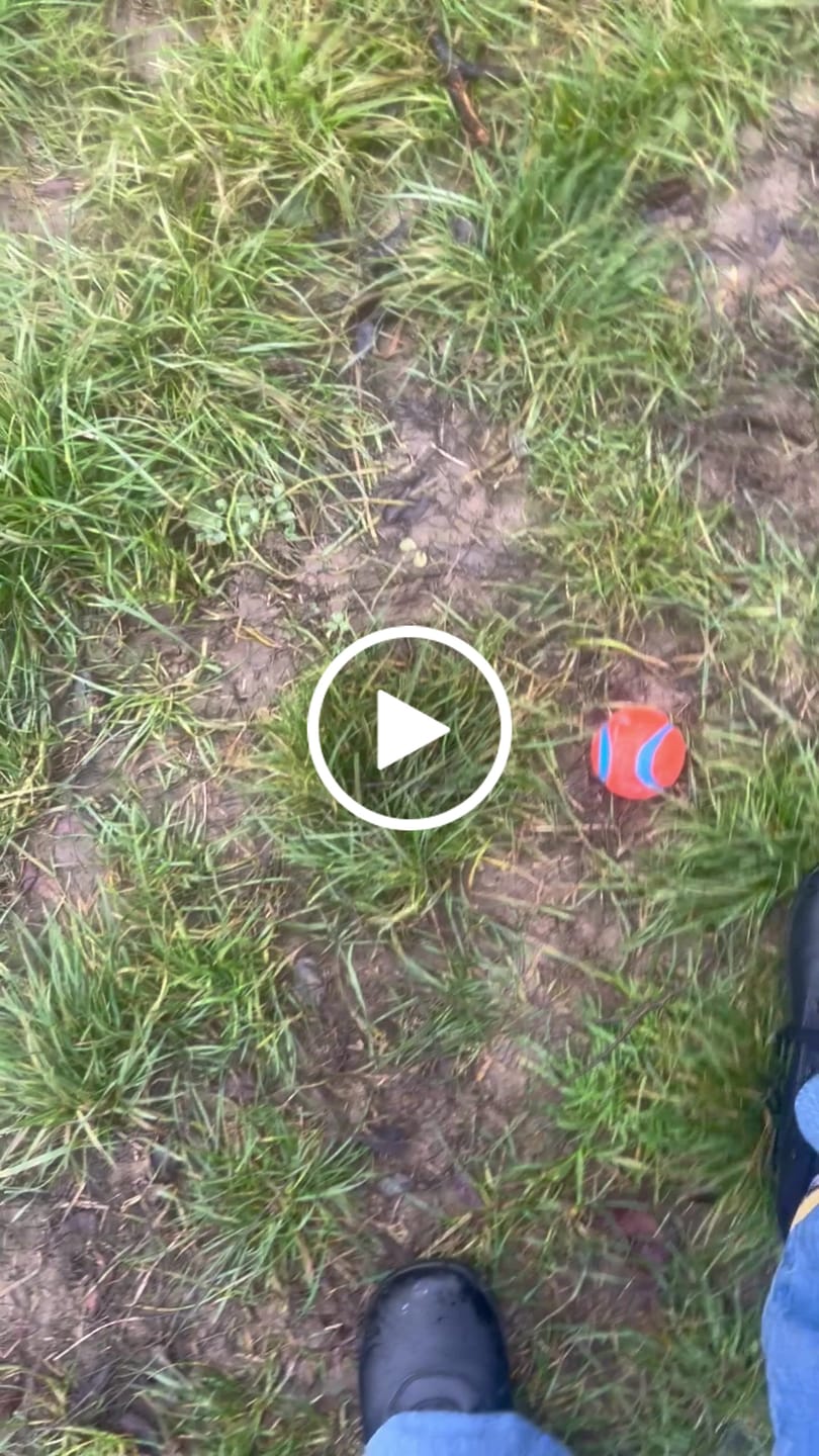Customer video review of Spruce - Scarpe Barefoot Invernali