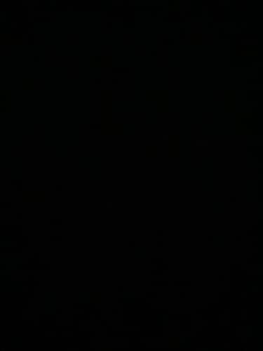 Customer photo review of Italian Horn Necklace