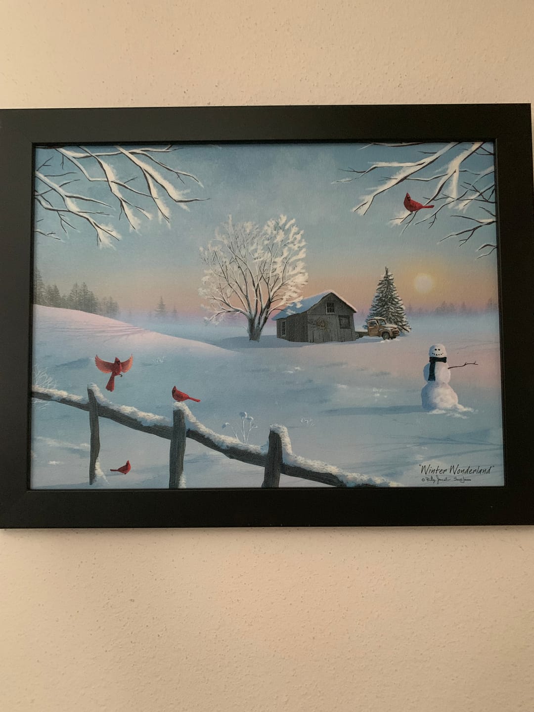 Customer photo review of Winter Wonderland by Billy Jacobs – BJ1388