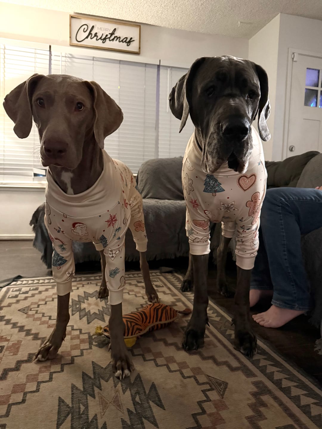 Customer photo review of Dog Christmas Pajama - Frosty Night