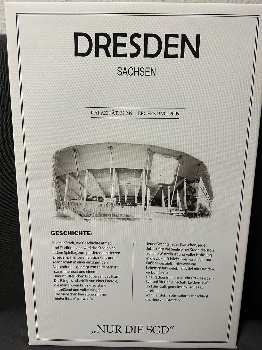 Customer photo review of Dresden Stadion Leinwand
