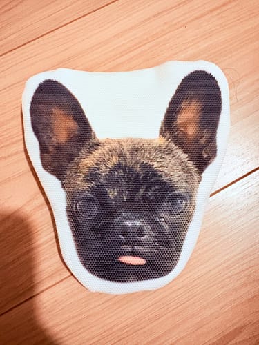 Customer photo review of 本物そっくり♪ペットフェイスバッグ