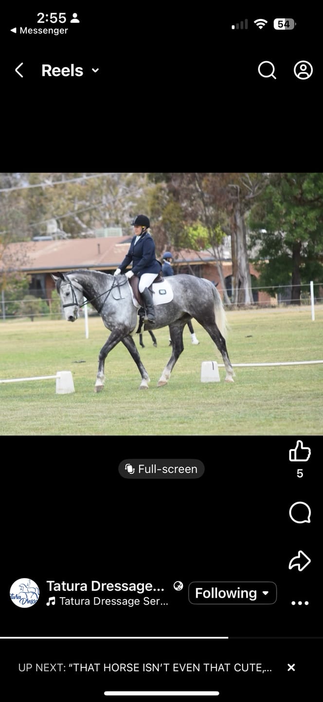 Customer photo review of Digestive EQ