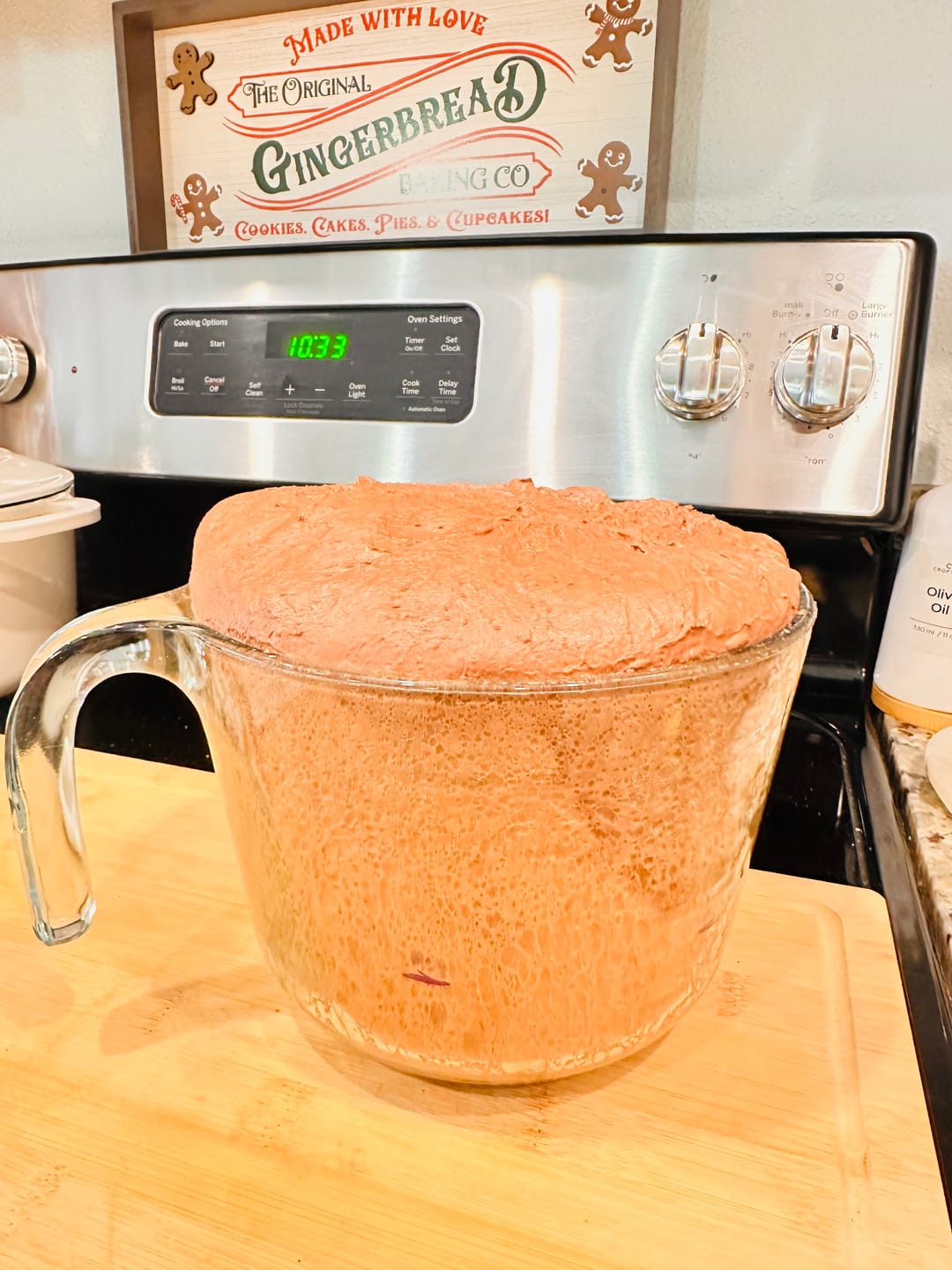 Customer photo review of Live 118 Year Old Valrhona CHOCOLATE Sourdough Starter Includes Maintenance PDF & Chocolate Noir Loaf Recipe