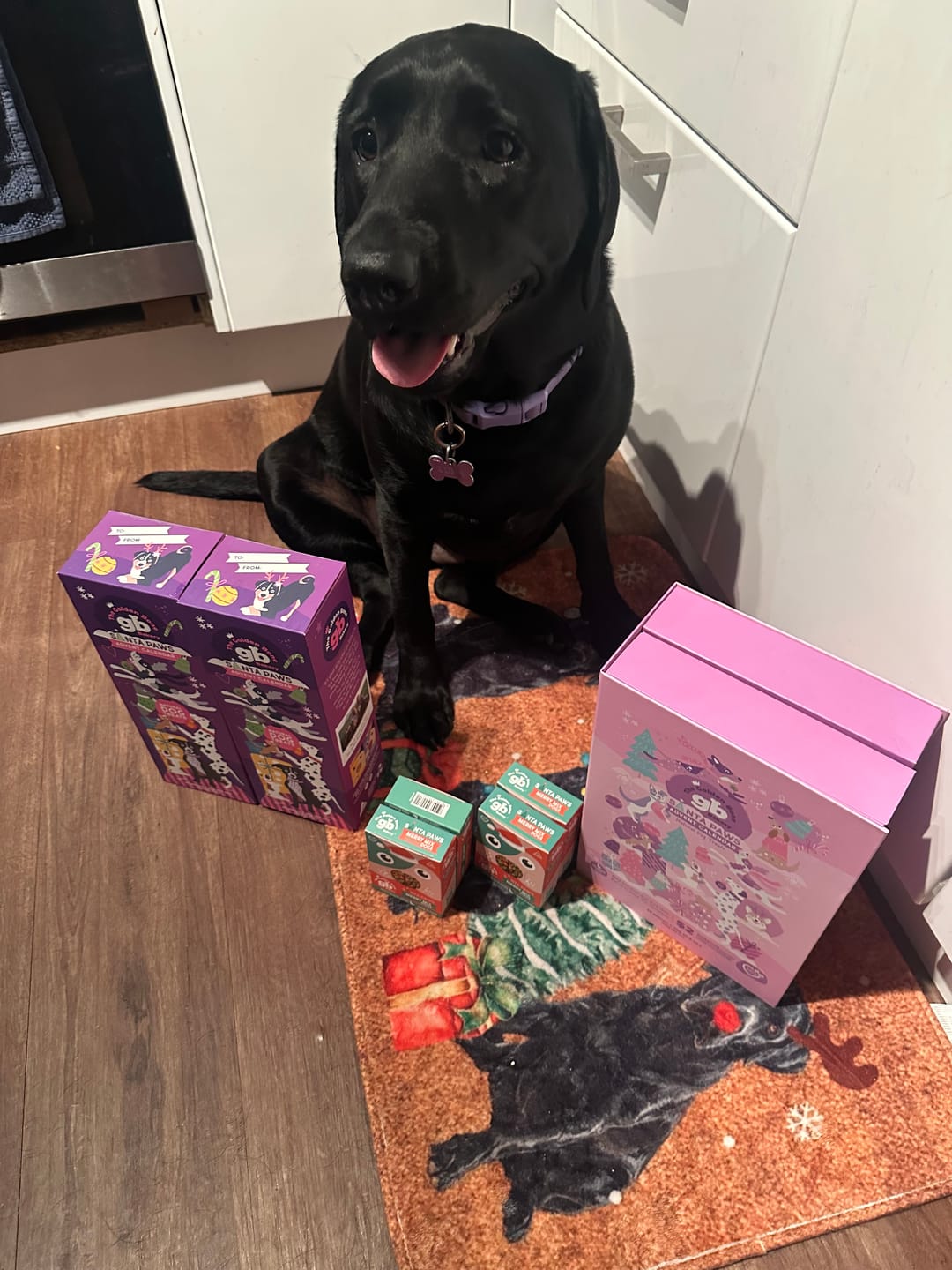 Customer photo review of Advent Calendar Dog Treat Bundle