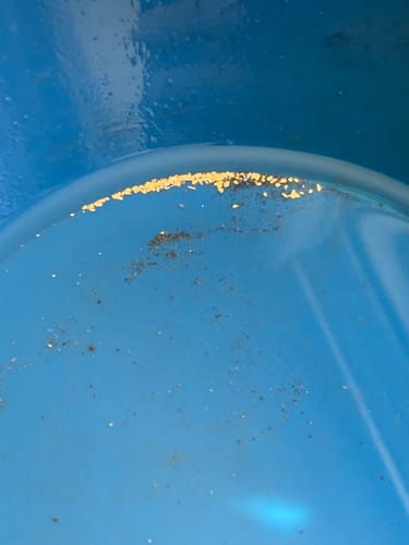 Customer photo review of 1088 Gold Rat sluice - with Mini cell Dream mat