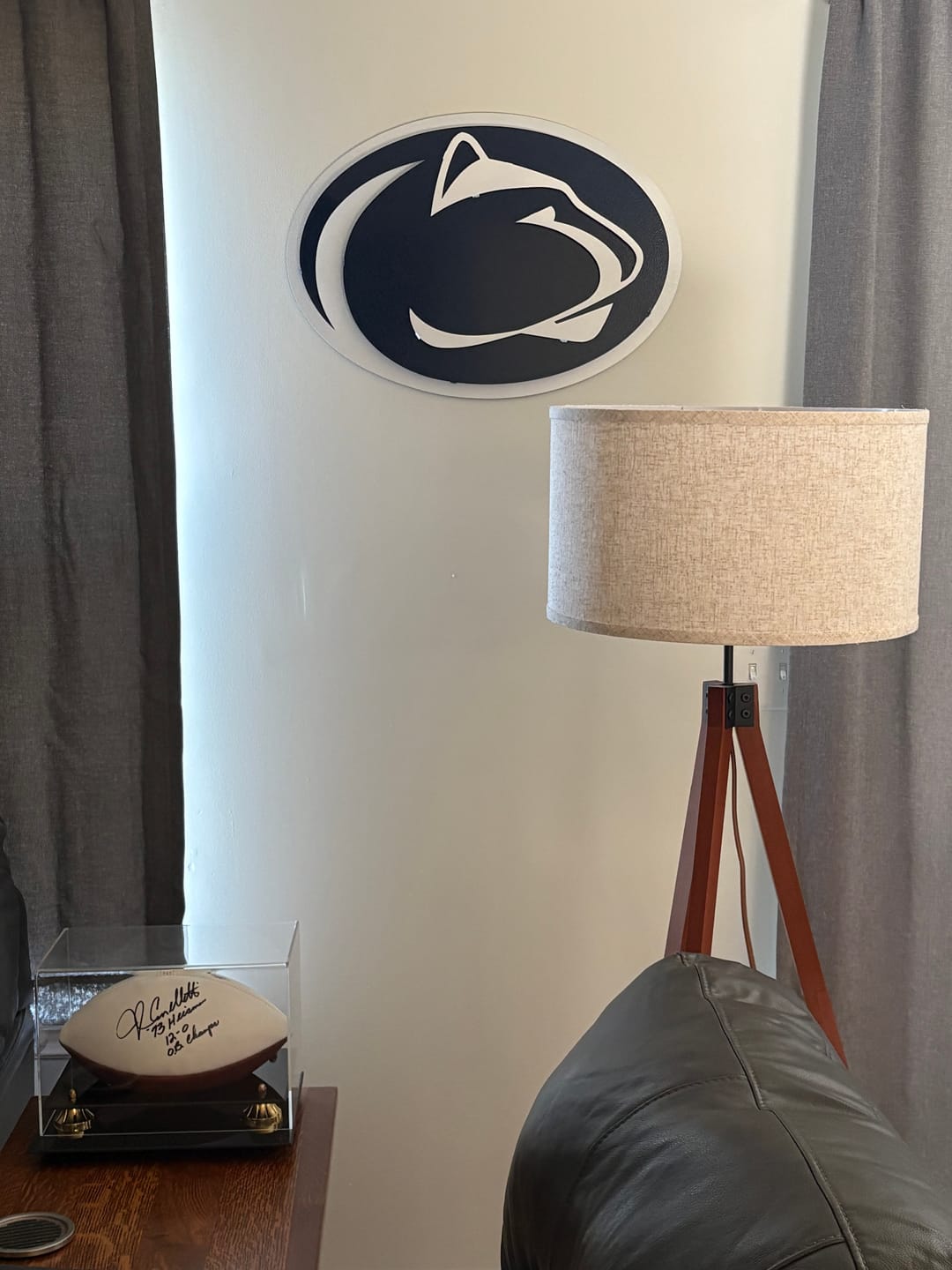 Customer photo review of Penn State Nittany Lions 3D Metal Wall Art