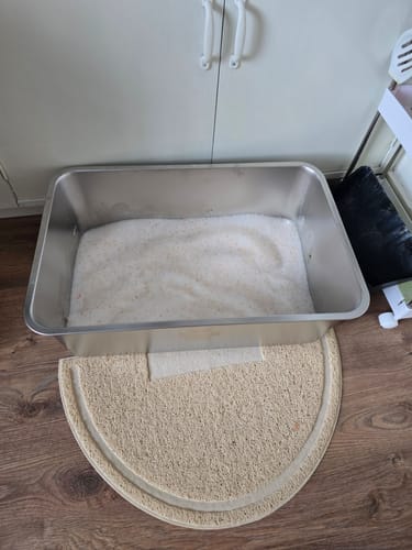 Customer photo review of 1 month supply - 4 Cats