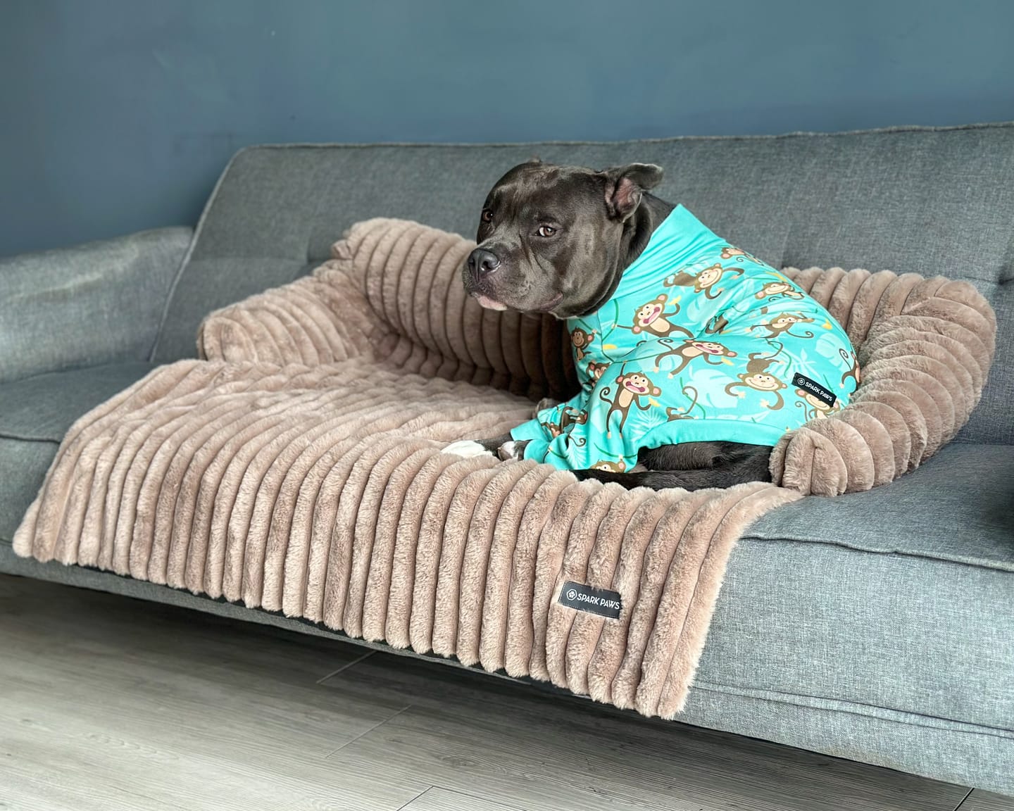 Customer photo review of Luxury Couch Cover Dog Bed - Brown