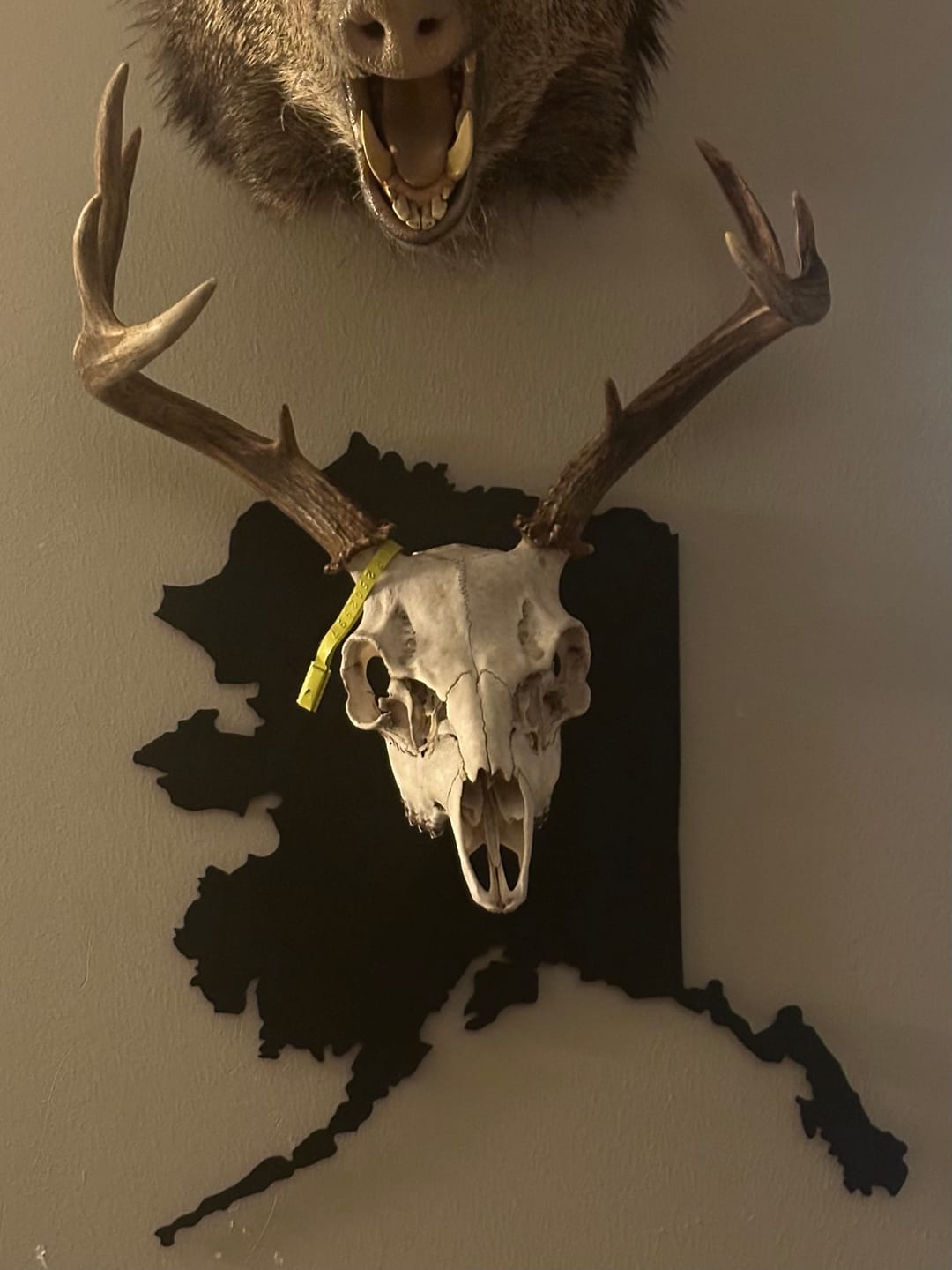 Customer photo review of Medium Game Plaques