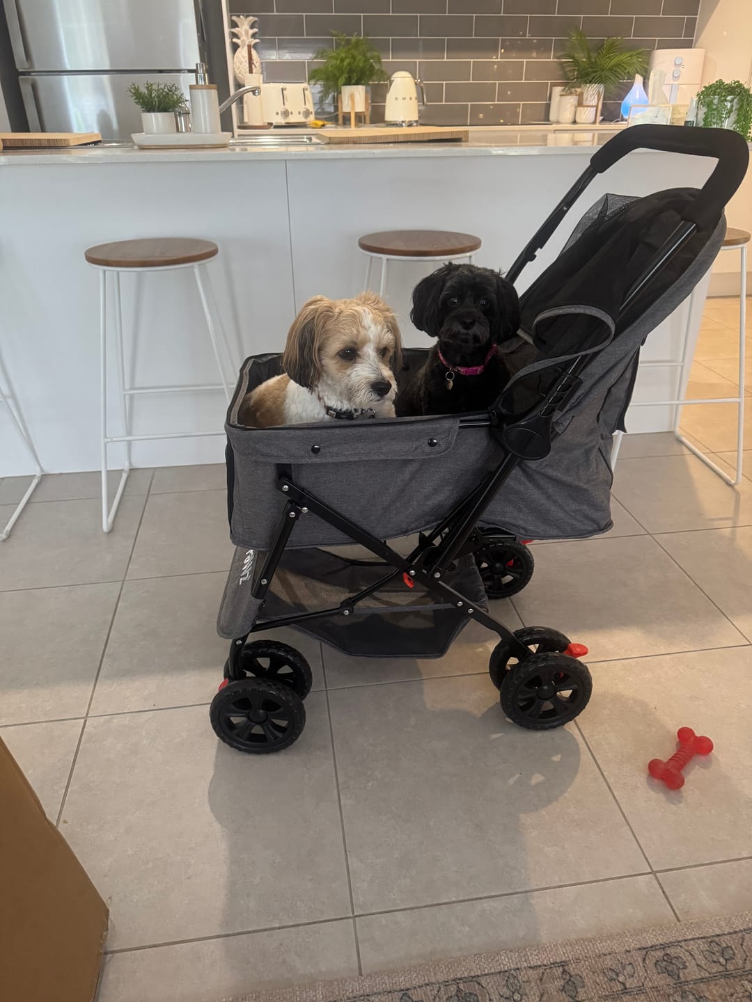 Customer photo review of Pet Dog Stroller Pram 4 Wheels