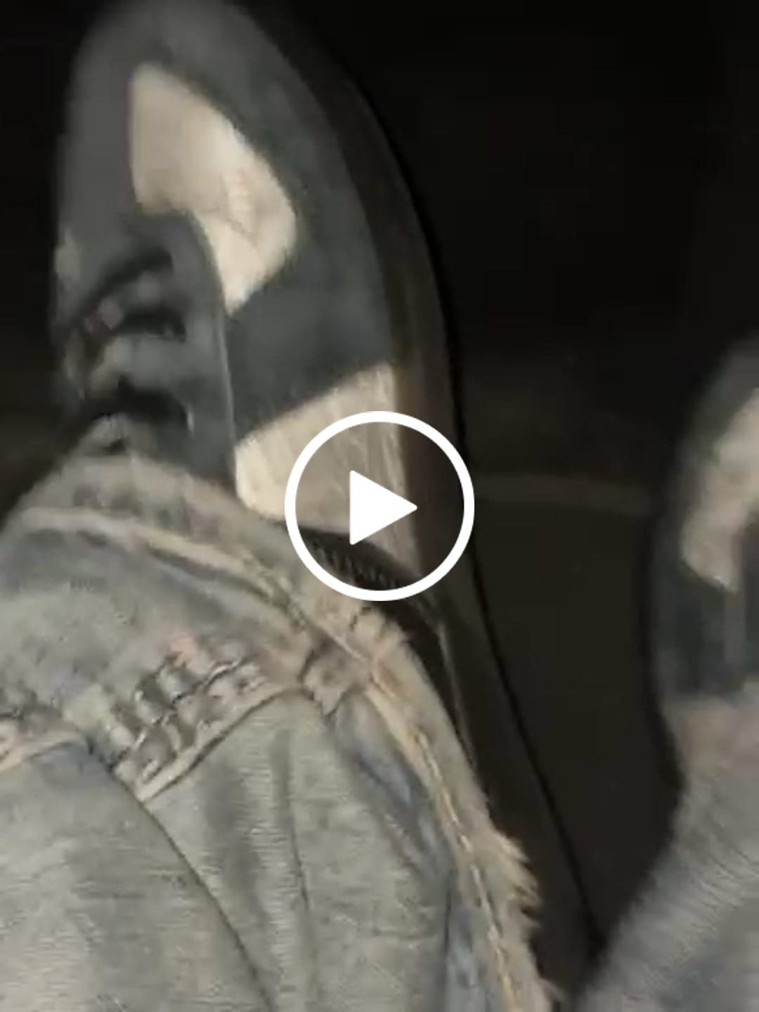 Customer video review of Tree of Life , Noir edition Silk Sneakers