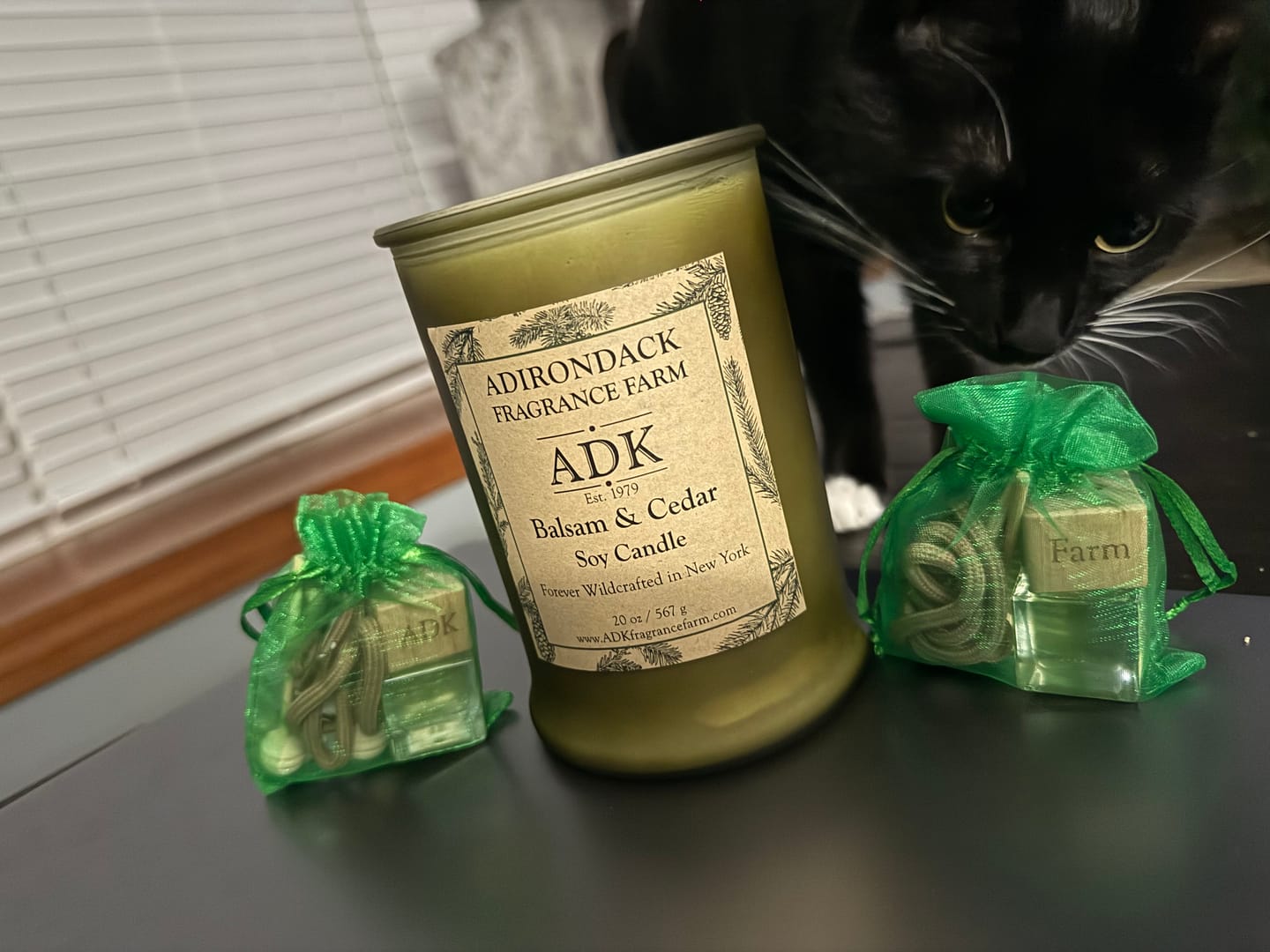 Customer photo review of Balsam & Cedar Candle