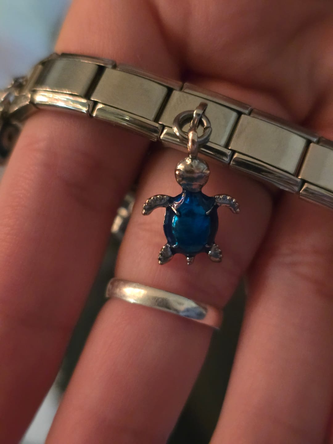Customer photo review of Charm Tortuga