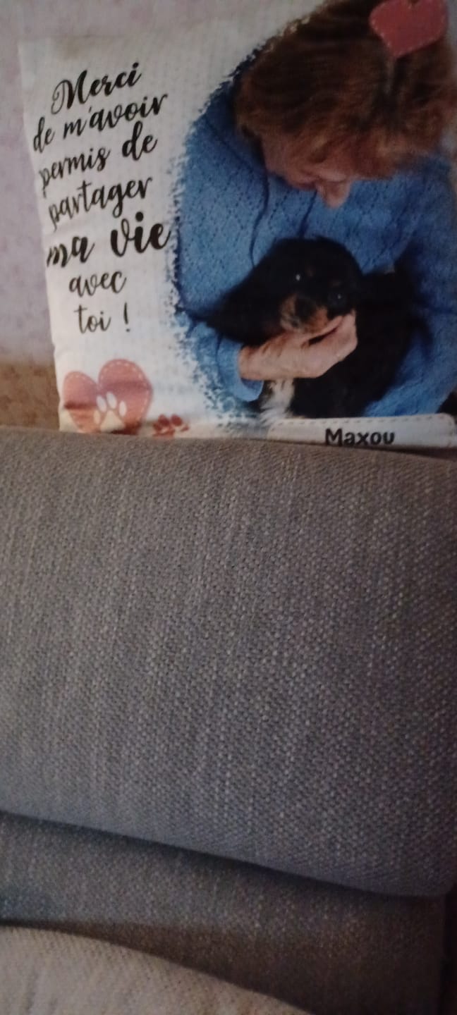 Customer photo review of Merci - Coussin personnalisé