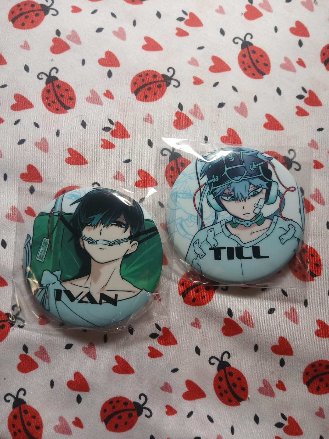 Customer photo review of Alien Stage Anakt Garden Collection Round Badge Blind Box