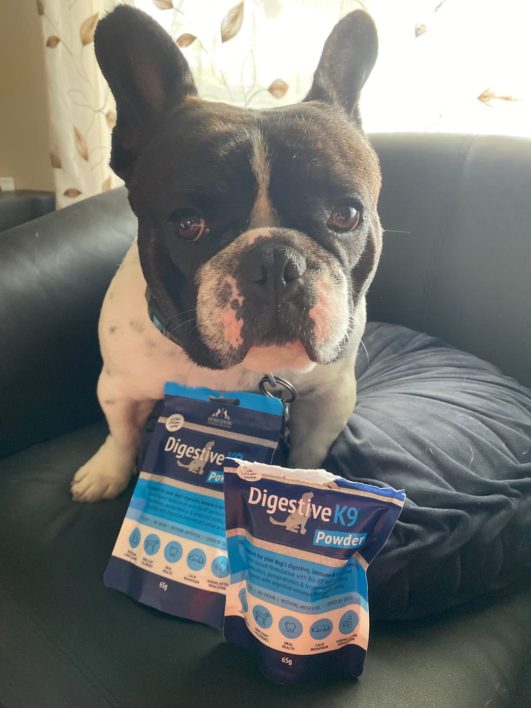 Customer photo review of Digestive K9 Powder