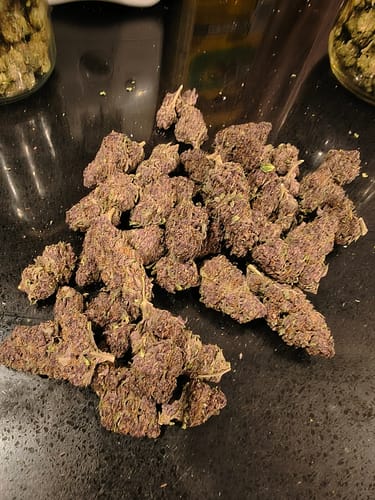 Customer photo review of Granddaddy Purple - Bulk - Indica