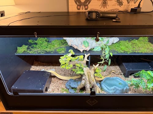 Customer photo review of XT4 BIO24 (48Lx24Dx24H) - STACKABLE