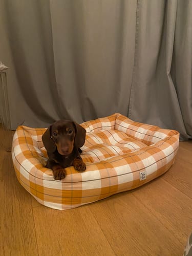 Customer photo review of Divanetto Cotone Panama Scozzese Trama Senape