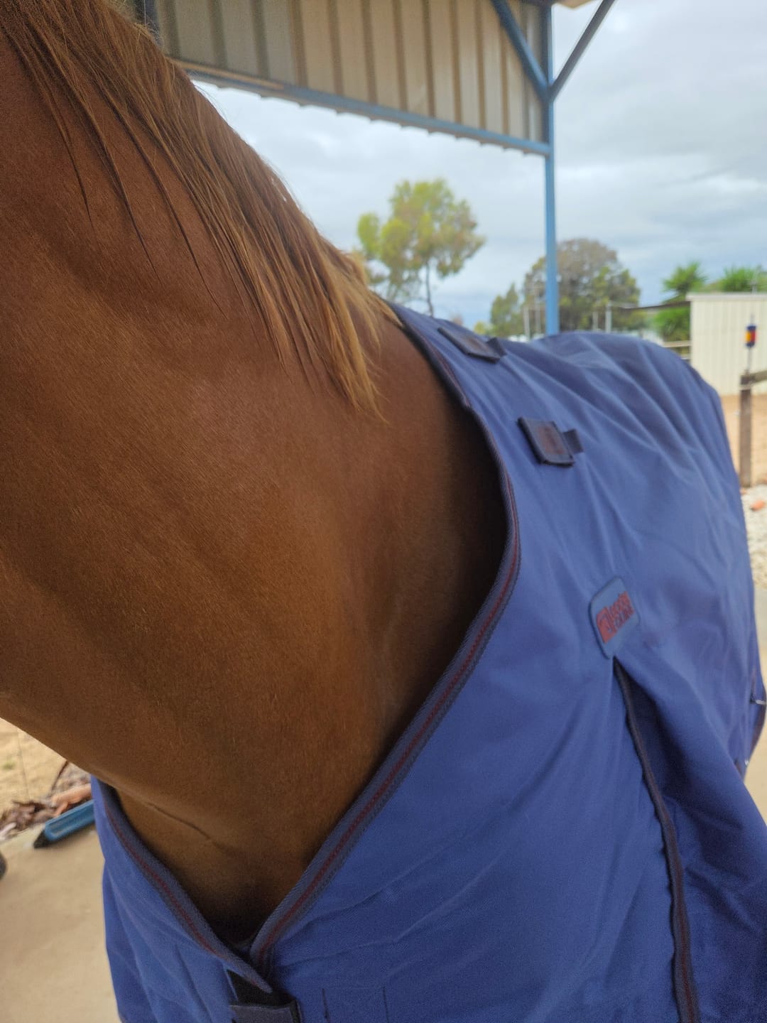 Customer photo review of LE Boxter Turnout 100g