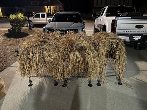 Customer photo review of Hunting Blind Raffia Grass (Pack)