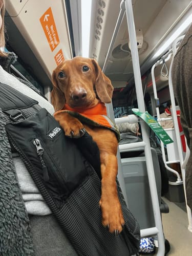 Customer photo review of Sac de transport en bandoulière noir