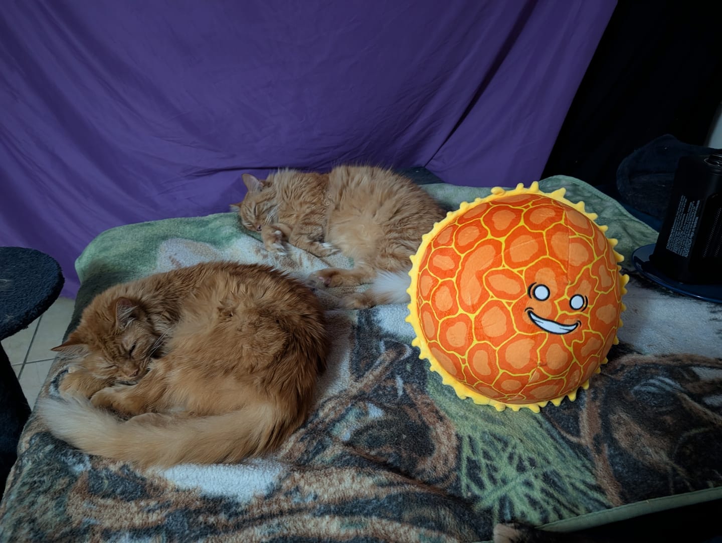 Customer photo review of The SolarBalls Sun Plush