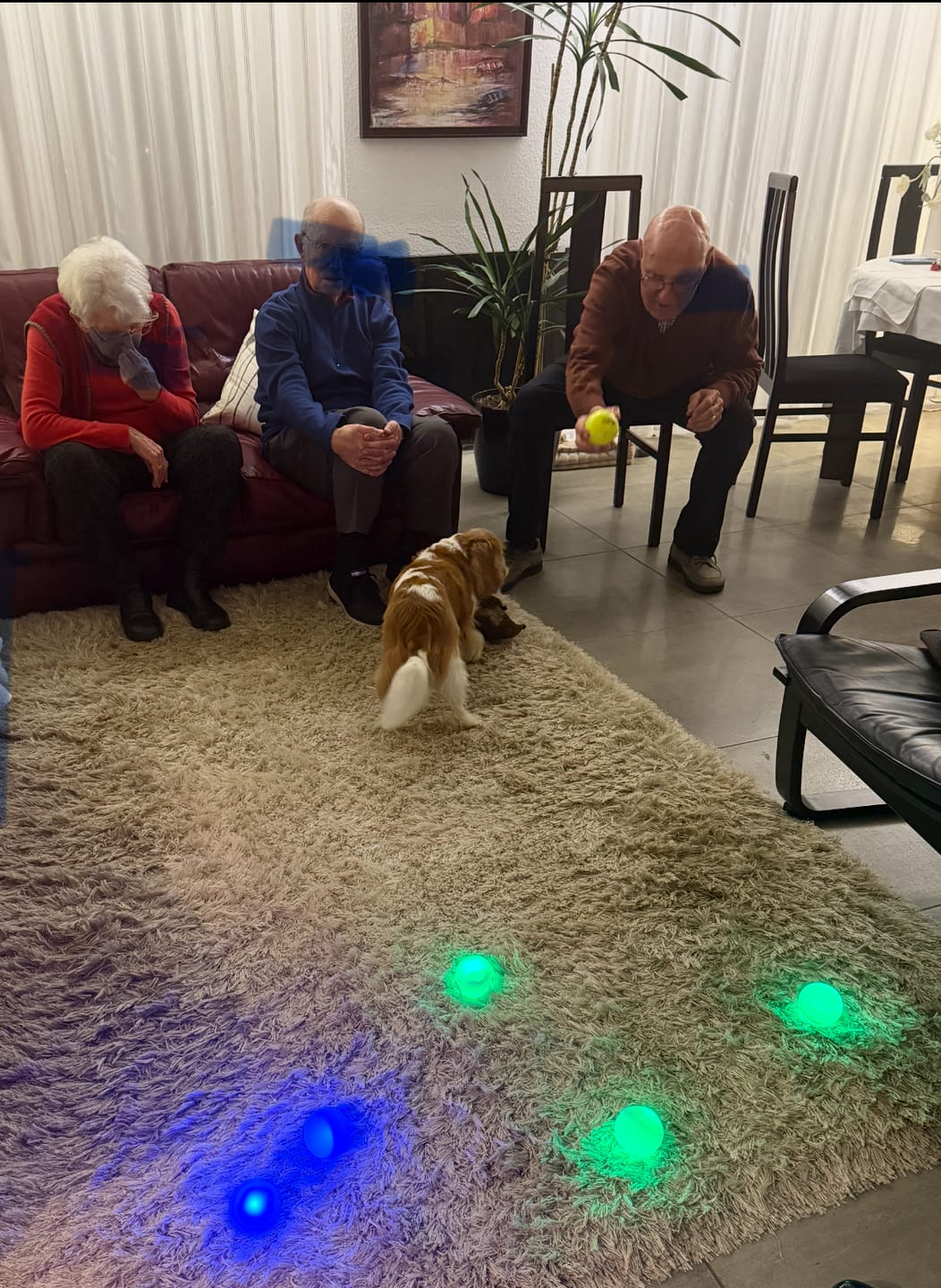 Customer photo review of LUMIOS LE JEU