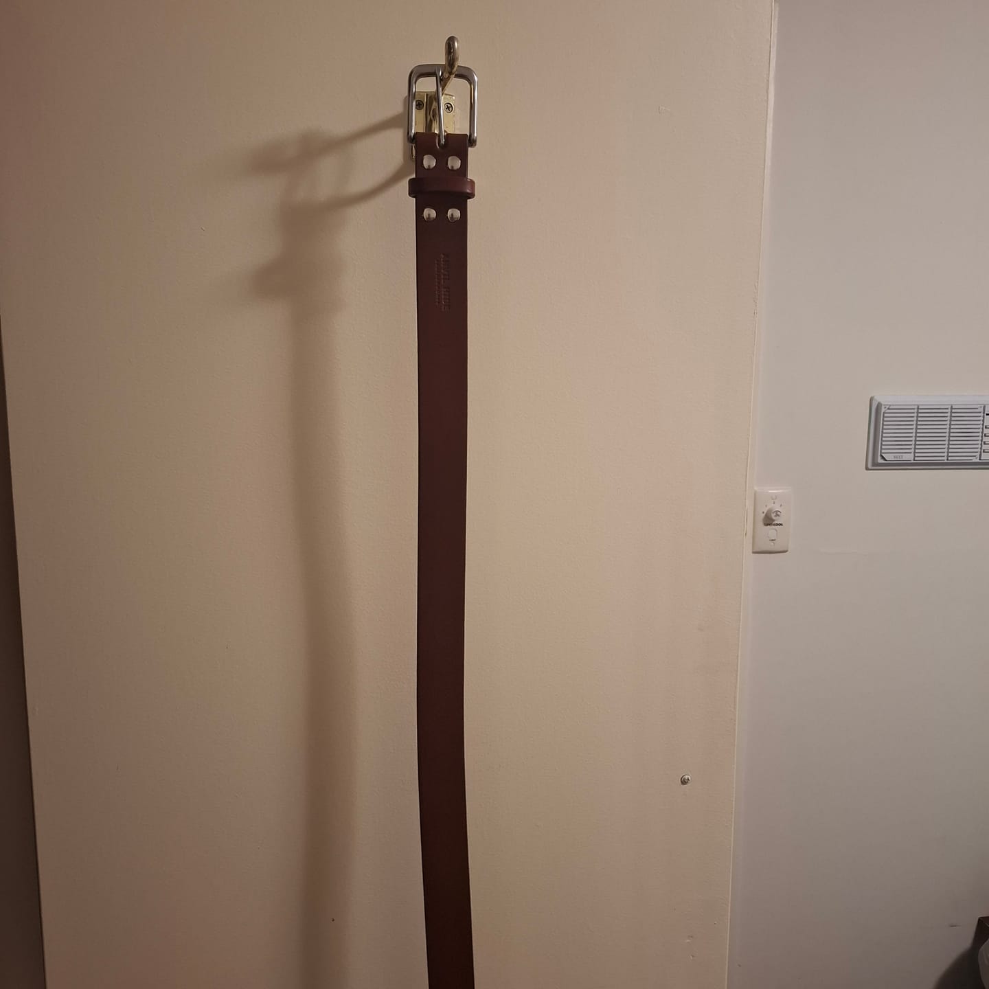 Customer photo review of The Everyday Belt