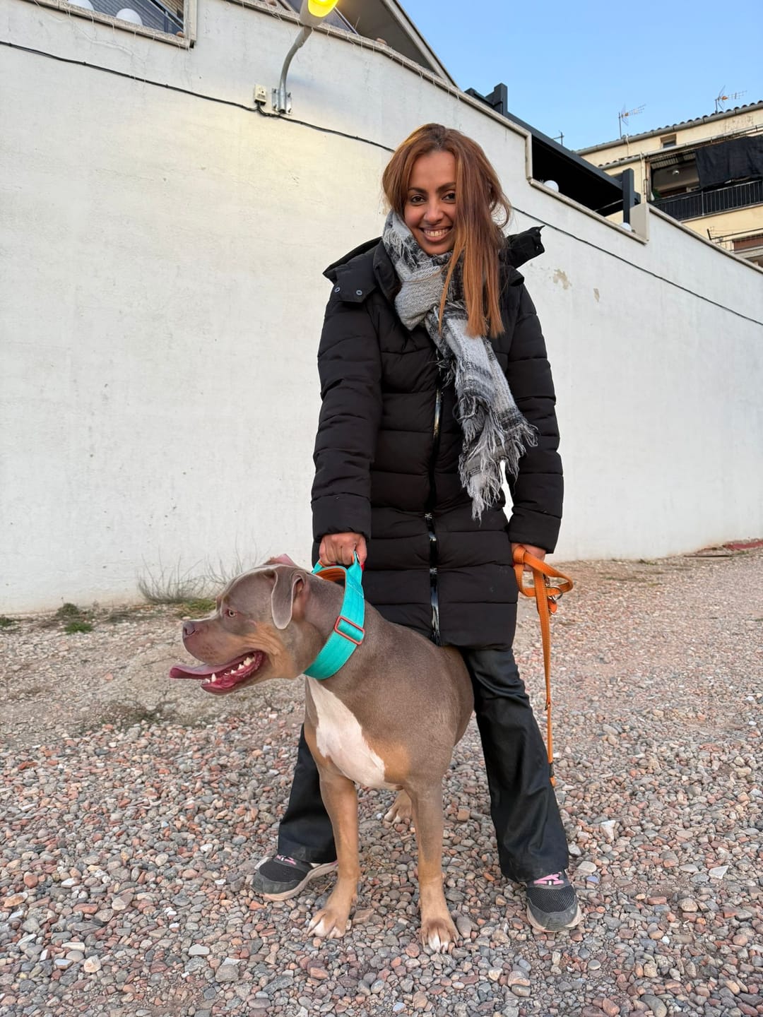 Customer photo review of 5cm Lighter Combat® Collar | With Handle Secure Clip - Turquoise x Orange