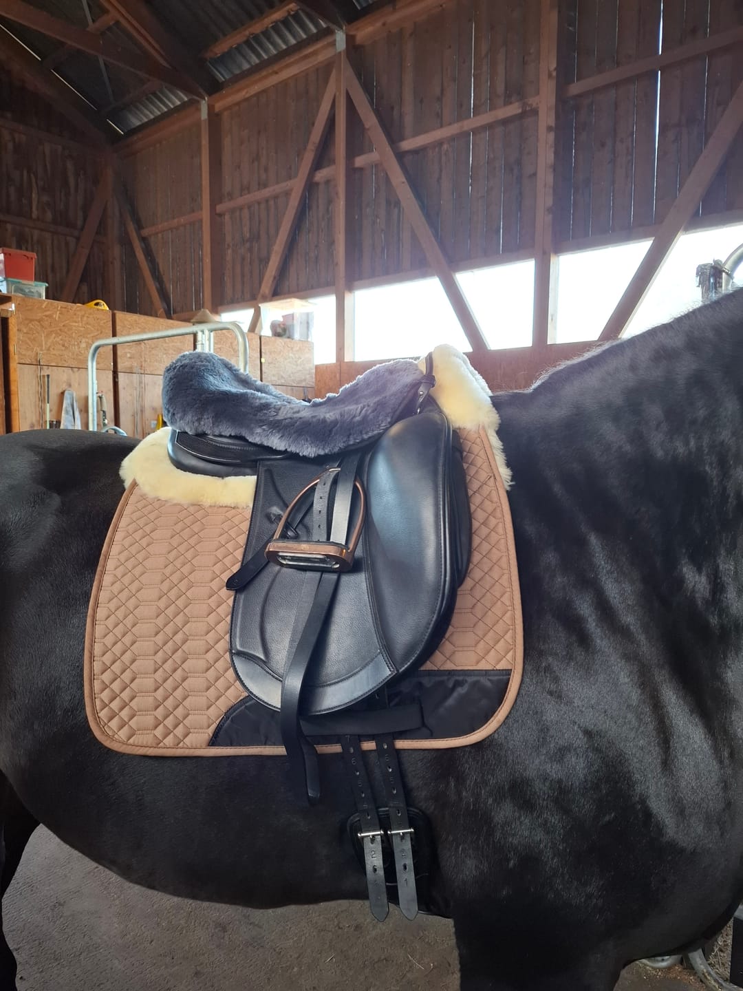 Customer photo review of Engel - Lammfell Schabracke mit Fellrand vorne & hinten und Fell in Sattellage