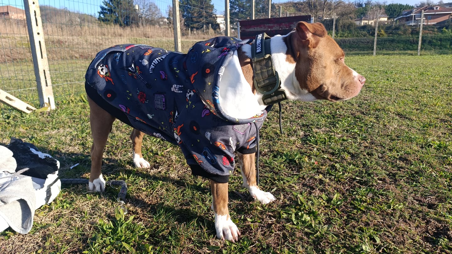 Customer photo review of Rock and Roll Dog Hoodie