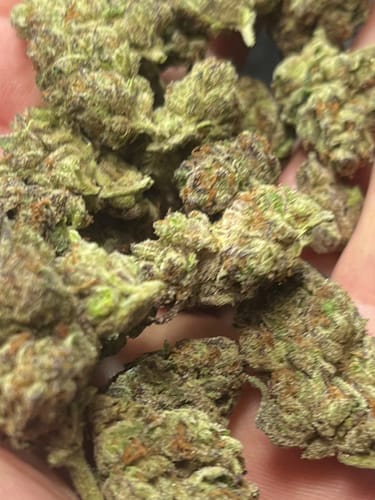 Customer photo review of Shipping Protection by Route